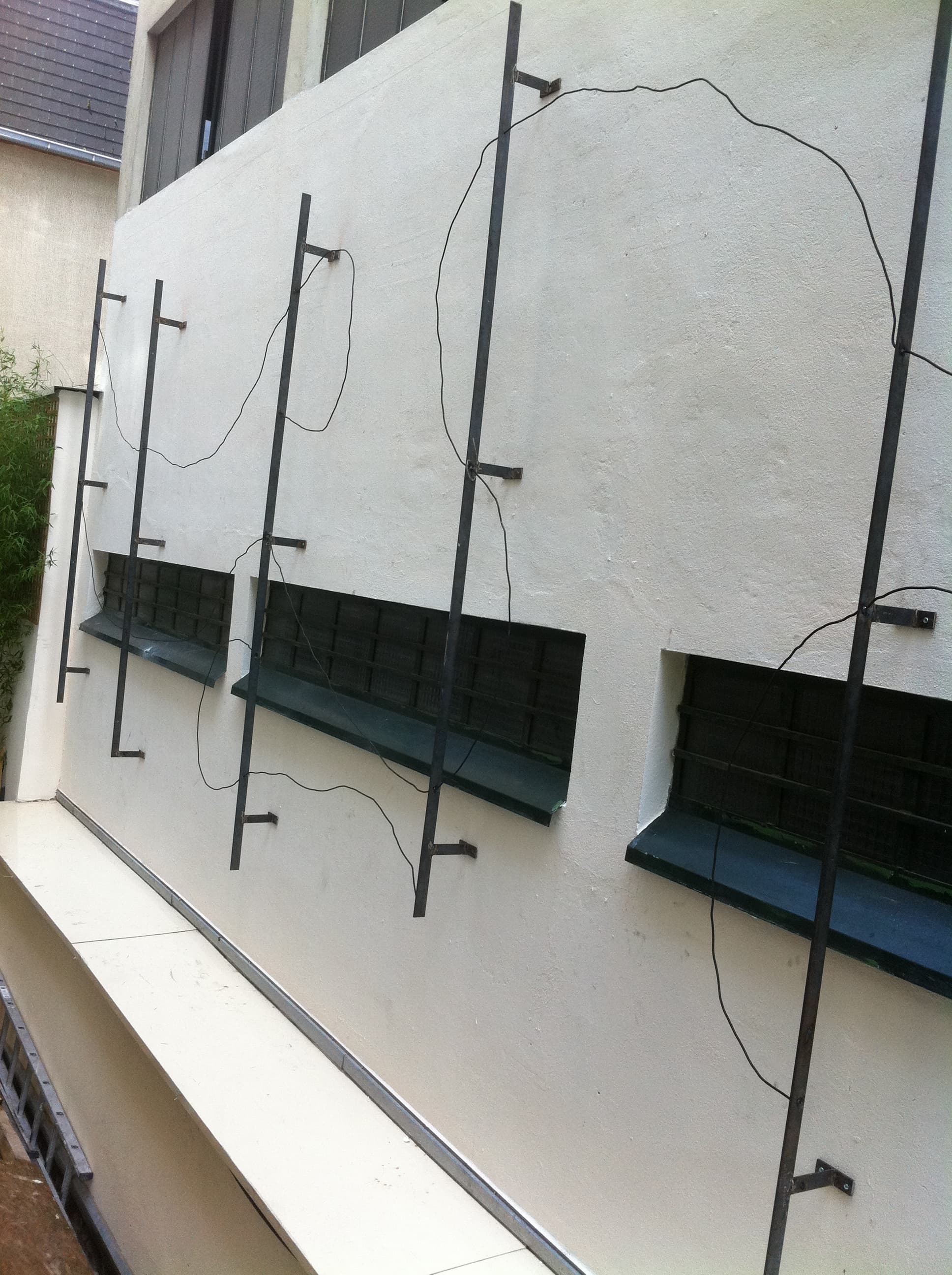 Support de Plante Grimpante - Image 1