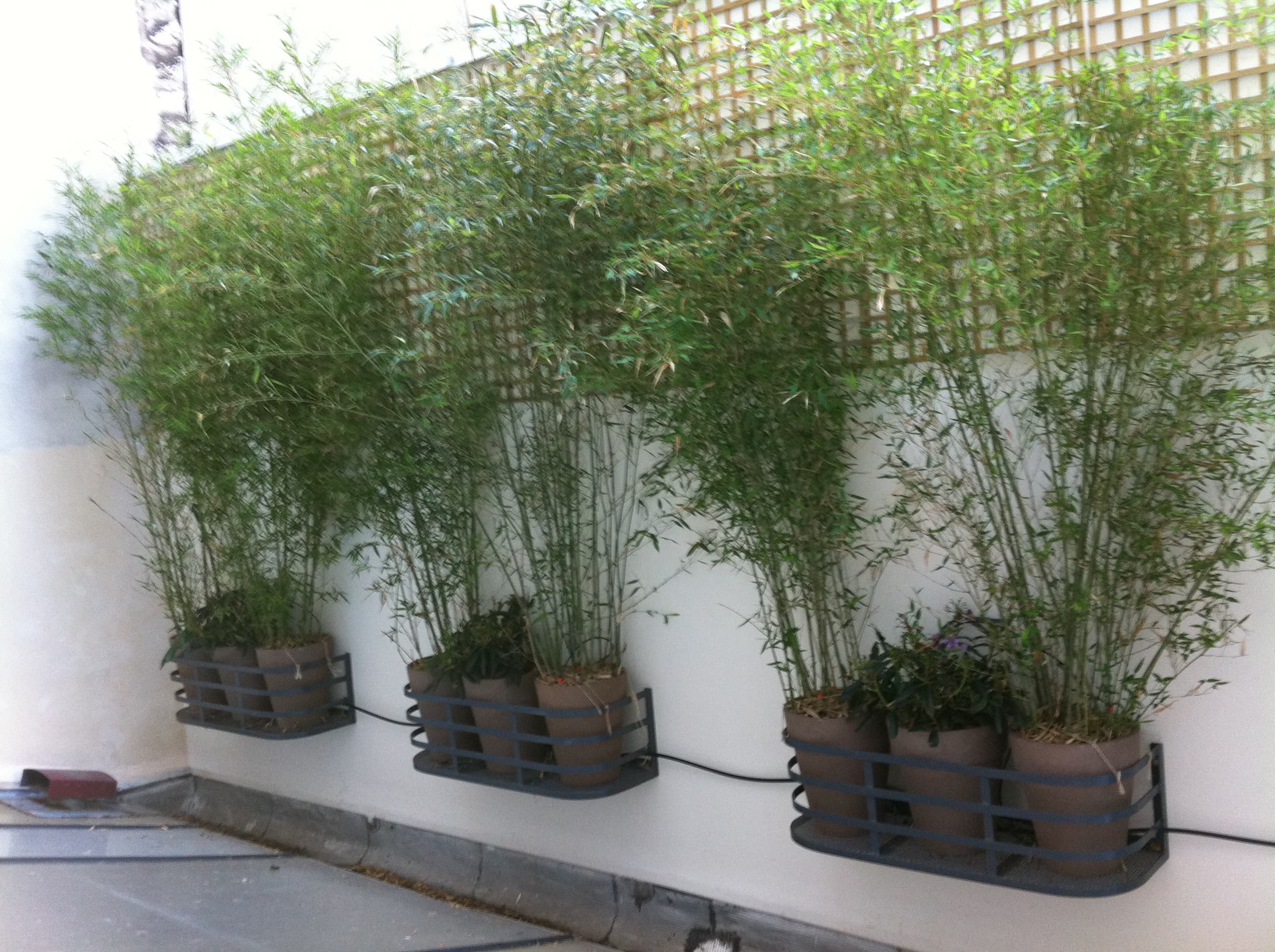 Support de Pots de Fleurs - Image 1